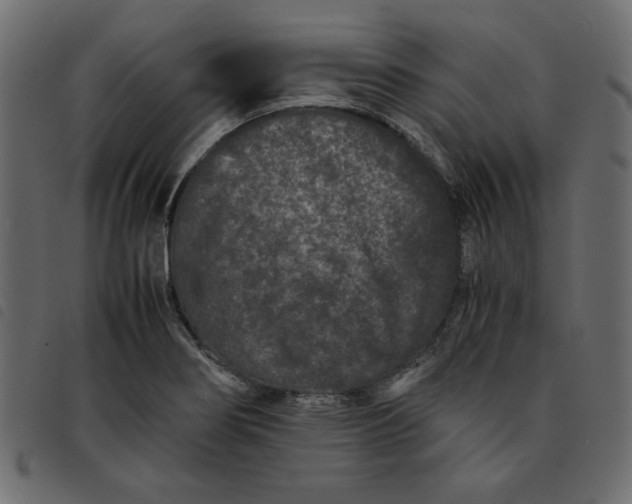 X0000092211274200710121121
