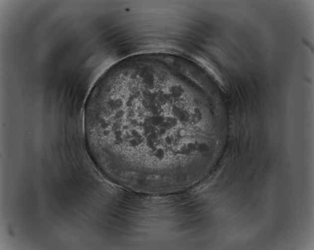 X0000092211275200710121121