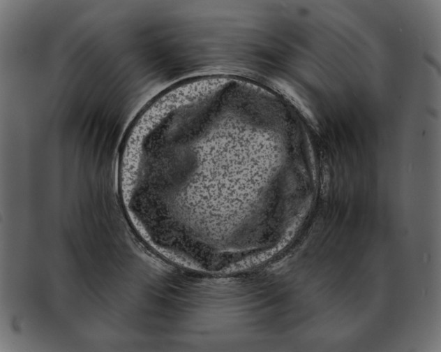 X0000092211276200710121121