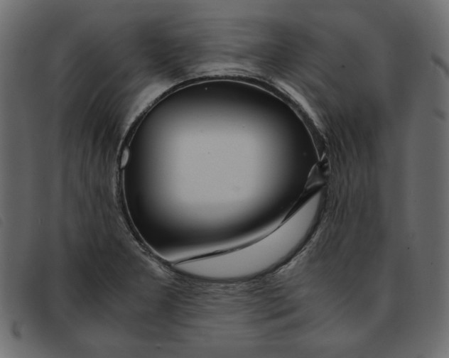 X0000092211277200710121121