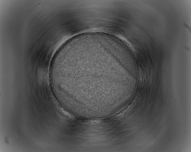 X0000092211278200710121121