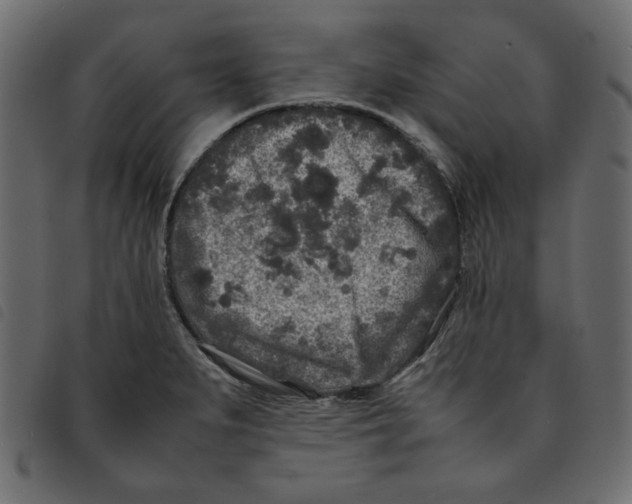 X0000092211279200710121121