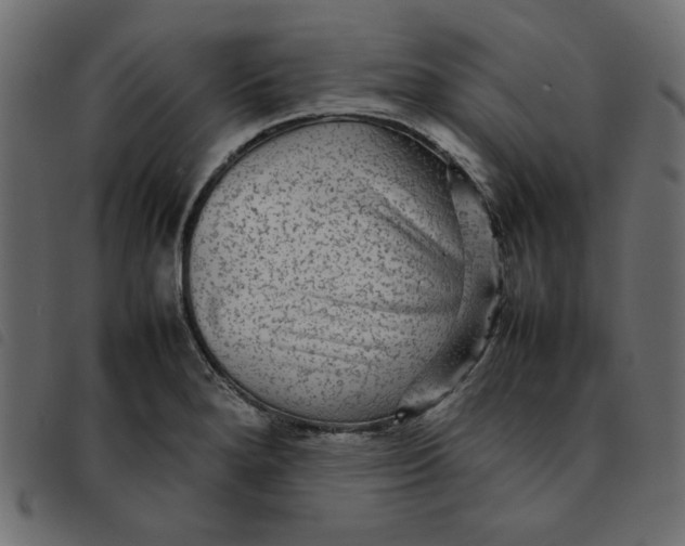 X0000092211280200710121121