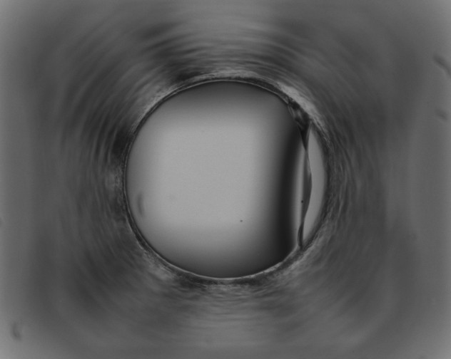 X0000092211281200710121121