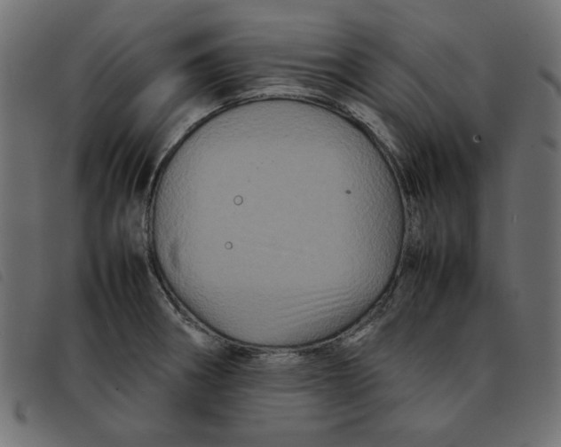 X0000092211282200710121121