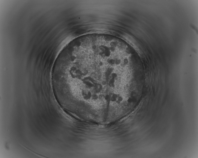 X0000092211283200710121121