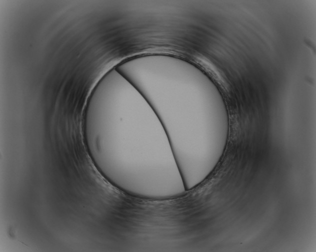 X0000092211284200710121121