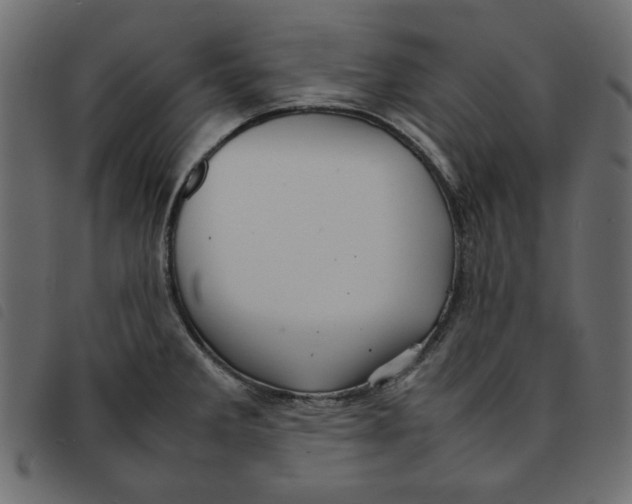 X0000092211285200710121121