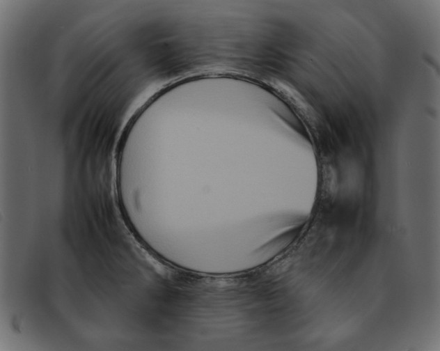 X0000092211286200710121121