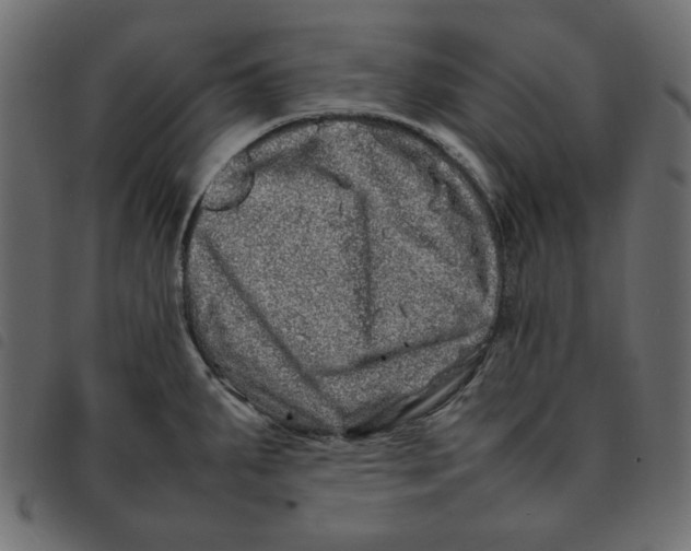 X0000092211287200710121121