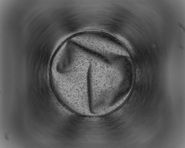 X0000092211288200710121121