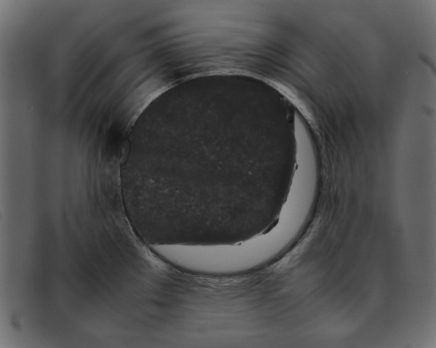 X0000092211289200710121121