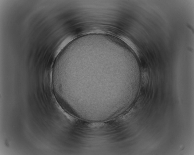 X0000092211290200710121121