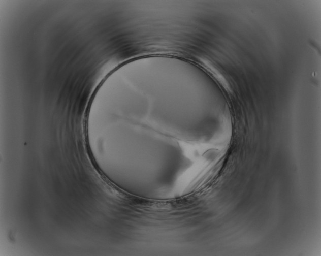X0000092211291200710121121