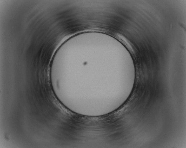 X0000092211292200710121121