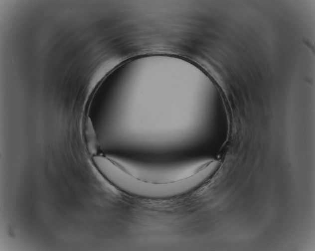 X0000092211293200710121121