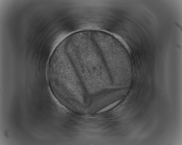 X0000092211295200710121121