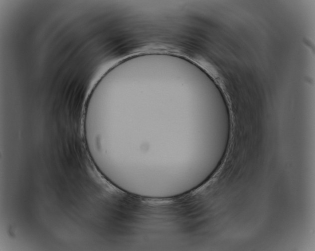 X0000092211296200710121121