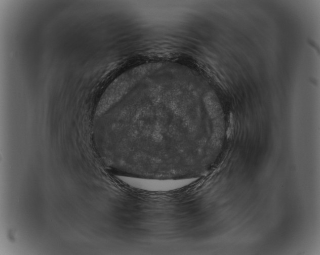 X0000092211297200710121120