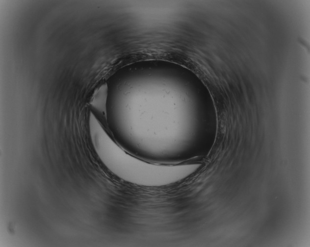 X0000092211298200710121120
