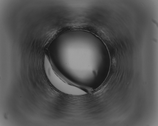 X0000092211300200710121120