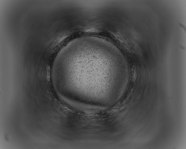 X0000092211301200710121120