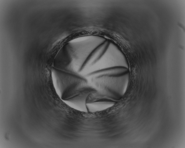 X0000092211302200710121120