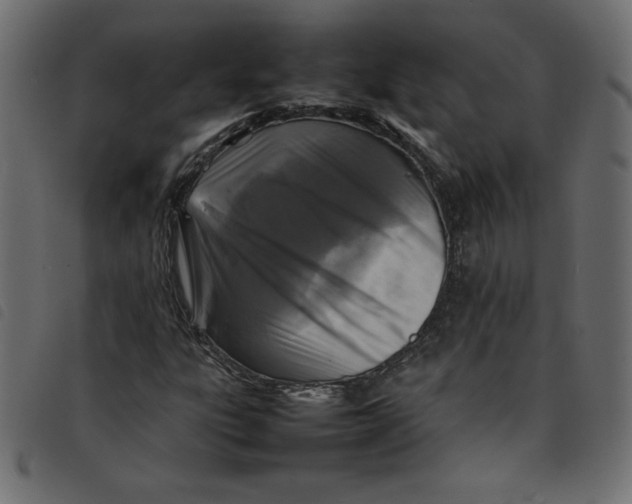 X0000092211303200710121120