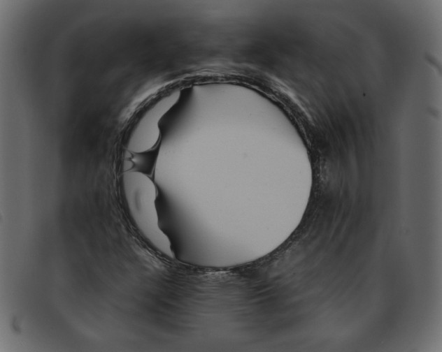 X0000092211304200710121120