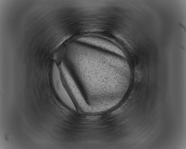 X0000092211305200710121120