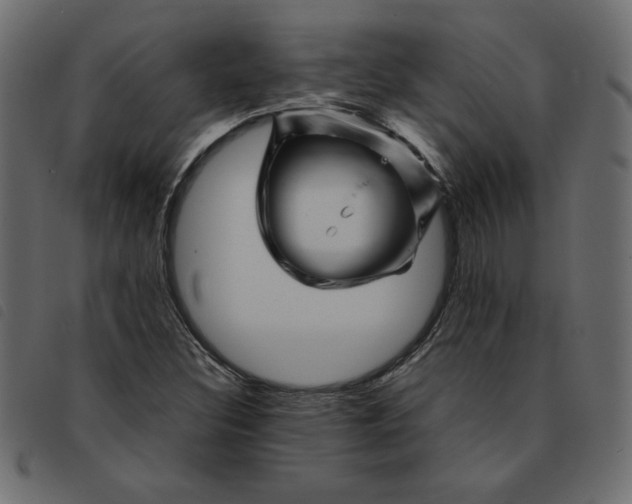 X0000092211308200710121120