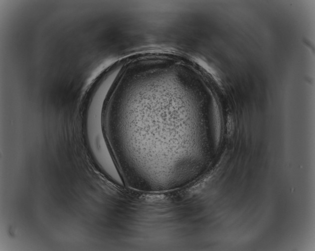 X0000092211310200710121120