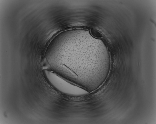 X0000092211313200710121120