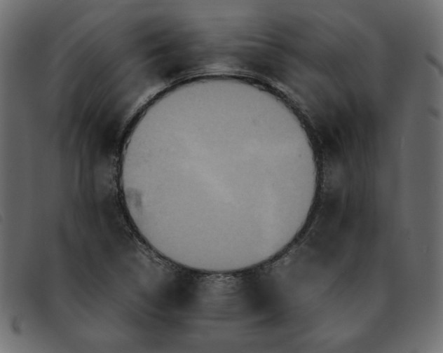 X0000092211314200710121120