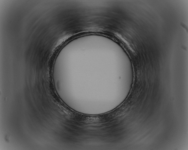 X0000092211315200710121120