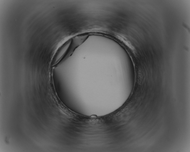 X0000092211316200710121120