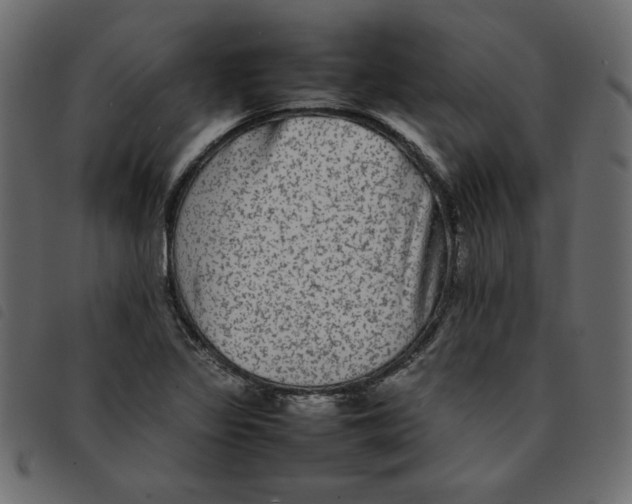 X0000092211317200710121121
