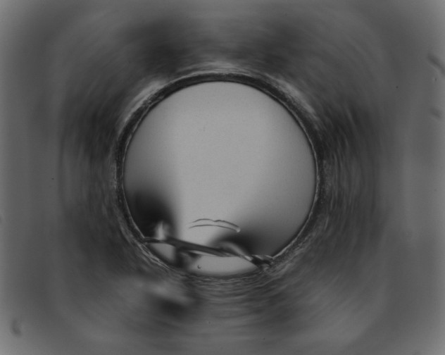 X0000092211318200710121121