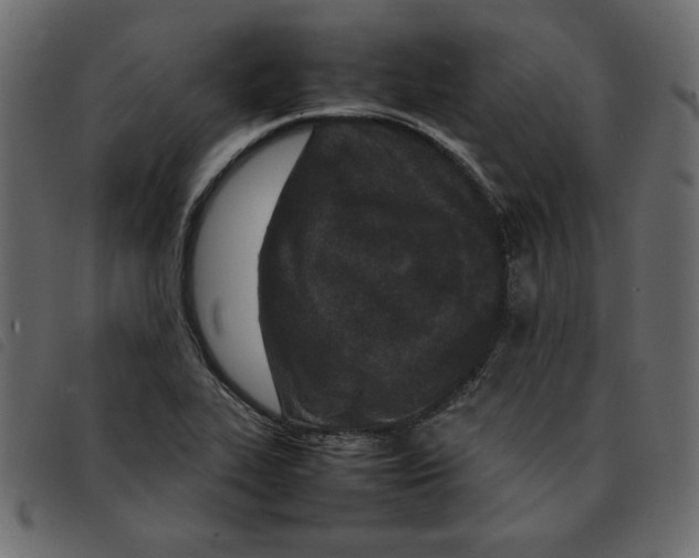 X0000092211319200710121121