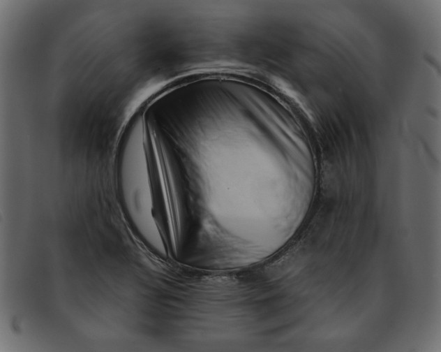 X0000092211320200710121121
