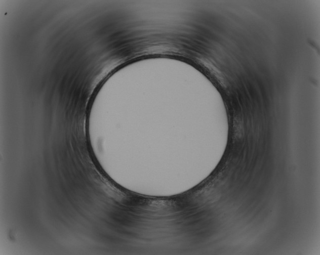 X0000092211322200710121121