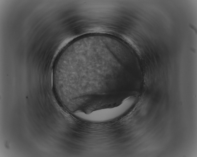 X0000092211323200710121121
