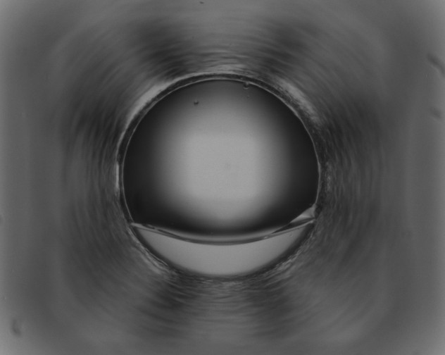 X0000092211324200710121121