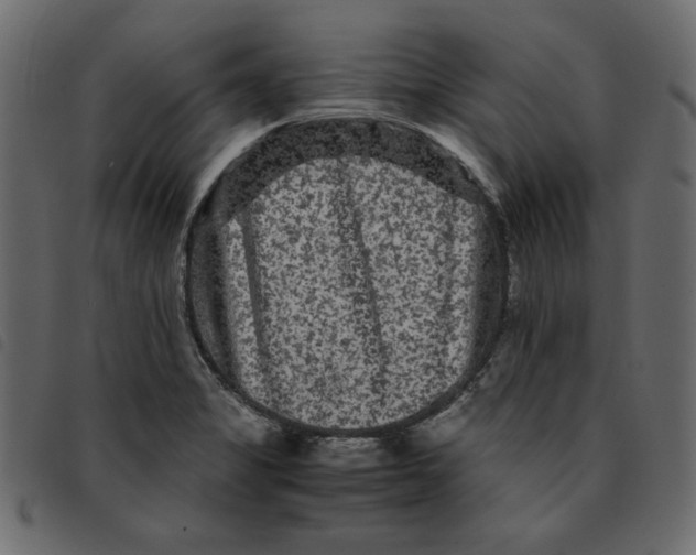 X0000092211325200710121121