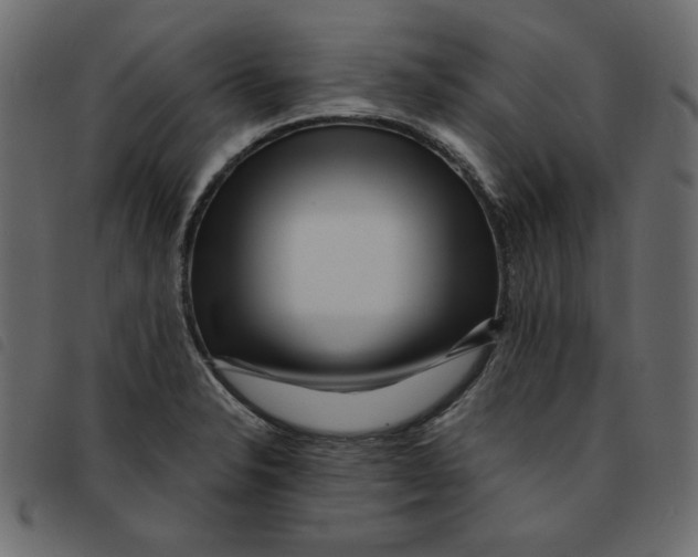 X0000092211326200710121121