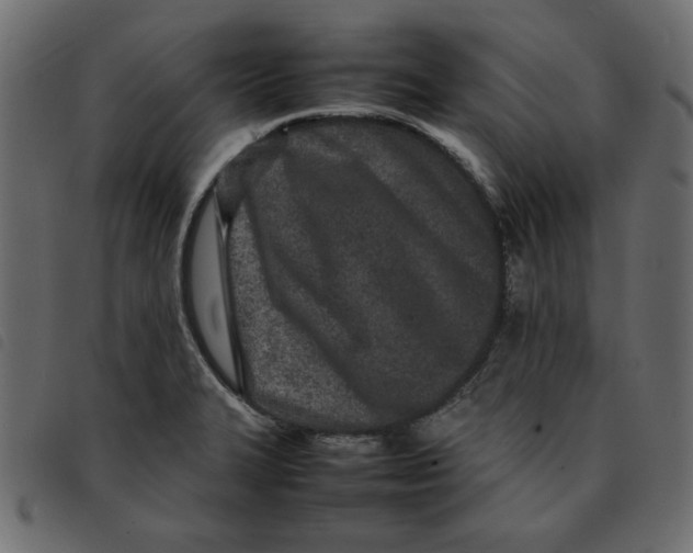 X0000092211327200710121121