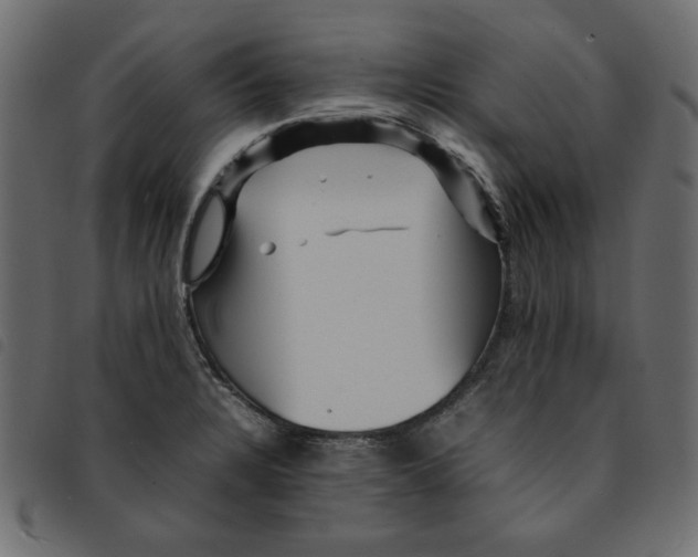 X0000092211328200710121121