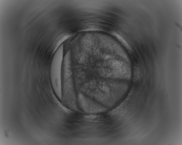 X0000092211329200710121121