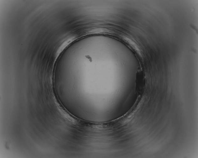 X0000092211330200710121121
