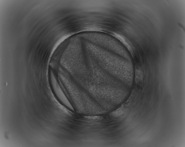 X0000092211331200710121121